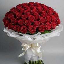 Букет 101 Красная роза Блэк Мэджик в Колюбакино
