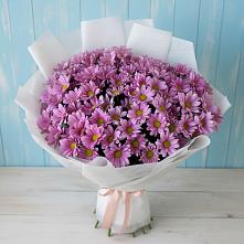 Букет цветов из:  Хризантемы в Колюбакино