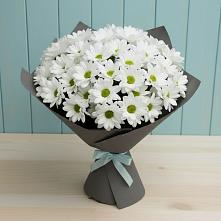 Букет цветов из:  Хризантемы в Колюбакино