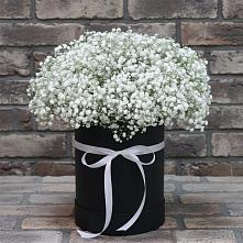 Цветочная композиция из Гипсофила в шляпной коробке #REPLACE_PRED# Колюбакино