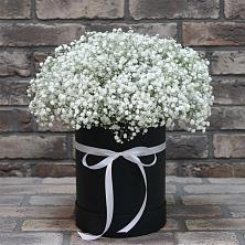 Цветочная композиция из Гипсофила в шляпной коробке в Колюбакино