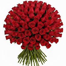 Букет Красные розы Чери Лав в Колюбакино