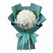Букет цветов из:  Гортензия в Колюбакино